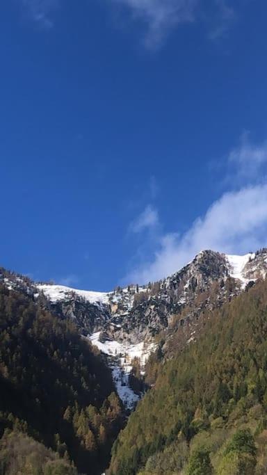 Il Sole Di Ester Branzi Ngoại thất bức ảnh